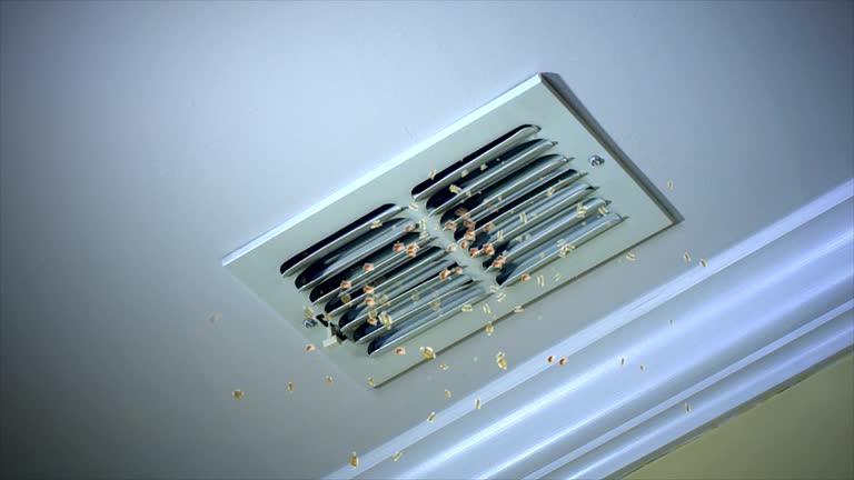 Best Emergency Air Duct Cleaning  in Mayflower, AR