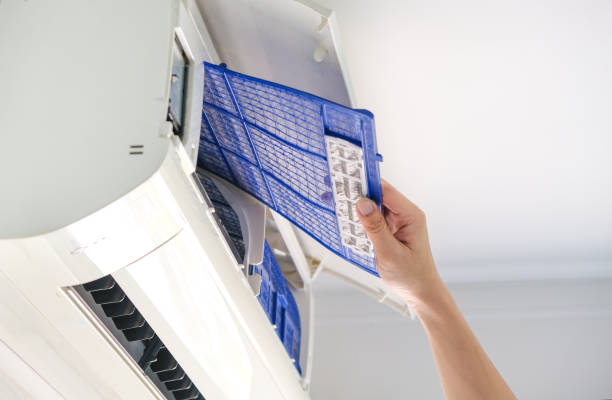 Best Home Air Vent Cleaning  in Mayflower, AR
