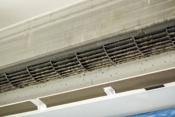 Best Commercial Air Duct Cleaning  in Mayflower, AR