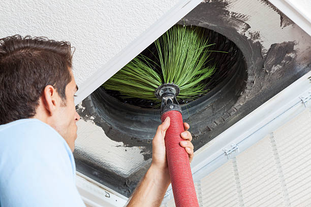 Best Professional Duct Cleaning Services  in Mayflower, AR